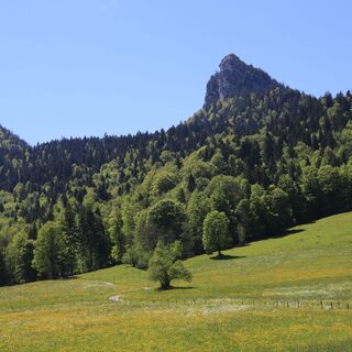 Leonhardstein