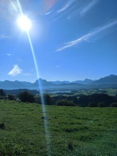 Fotografie z R. Frühwach na trase