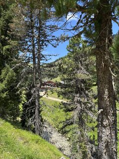 Fotografia z Irene Frattaroli na trase