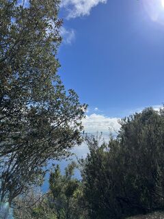 Photo de Alexandra von Rheinbaben le long du parcours