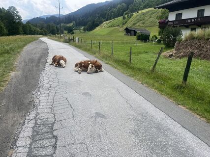 Fotografie z Gerhard pletzer na trase