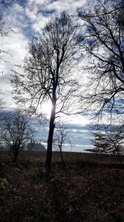 Photo de Anita Lunzer 1 le long du parcours