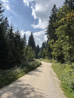 Foto von Heinz Sperl entlang der Tour