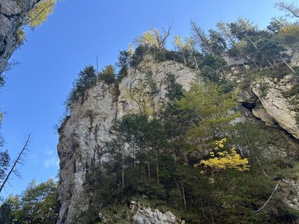 Fotó a Corinna Schröder honlapról a túra során