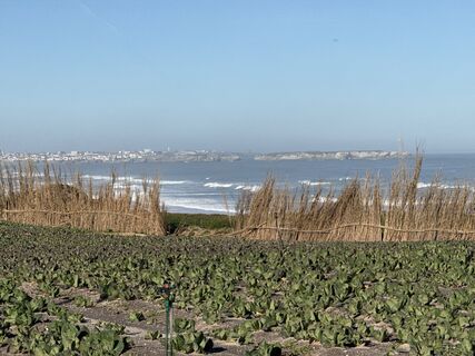 Zdjęcie z Helmut Schellmann wzdłuż trasy