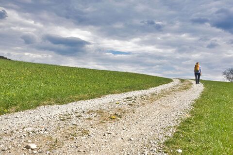 Stimmige Landschaft