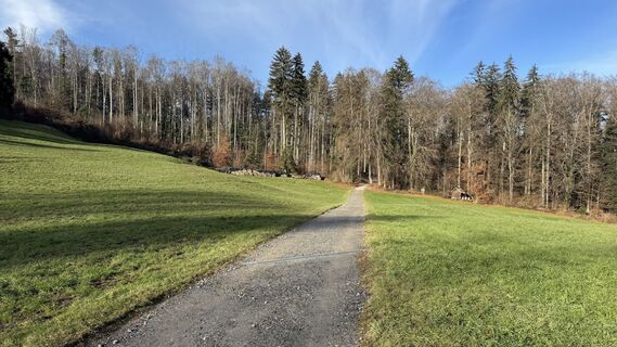 Fotografija s spletne strani peter_oe na poti