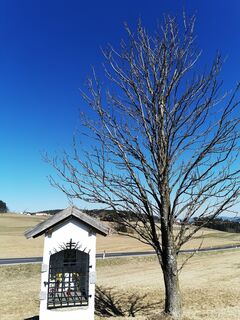 Fotografia z ElkeA na trase