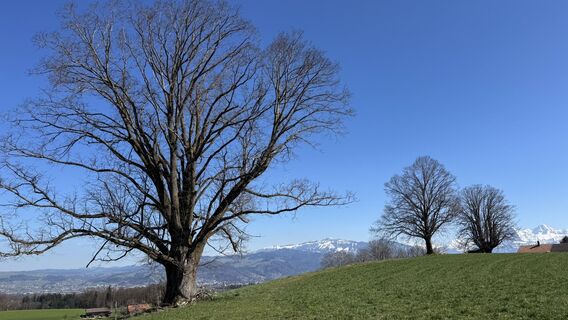 Photo from peter_oe along the tour