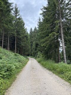 Foto von Heinz Sperl entlang der Tour