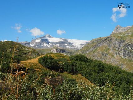 A068 Alpen