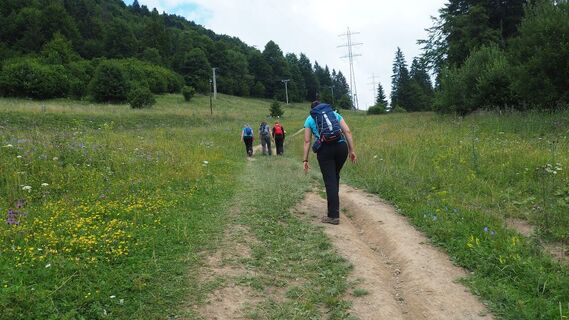 Over Dedinky, on the trail to Zejmarská gorge