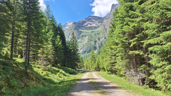 Photo de Monalisa le long du parcours