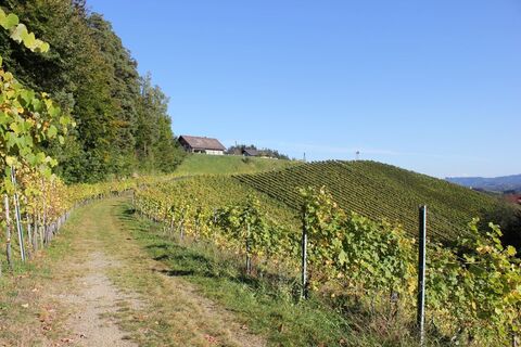 kleeblattwanderweg nr. 4 - wandern in leutschach a.d.w._img_11790012