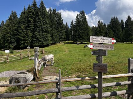 Photo de Stefano “Iddo” le long du parcours