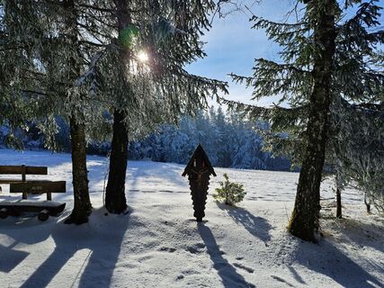 Fotografia z Rudi na trase