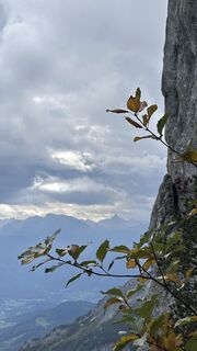Photo de Mountain Cat ? ⛰️ le long du parcours