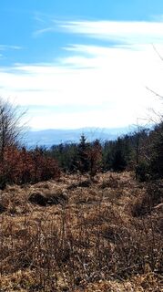 Foto von Anita Lunzer 1 entlang der Tour