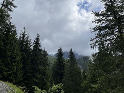 Foto von Alfa159TI entlang der Tour
