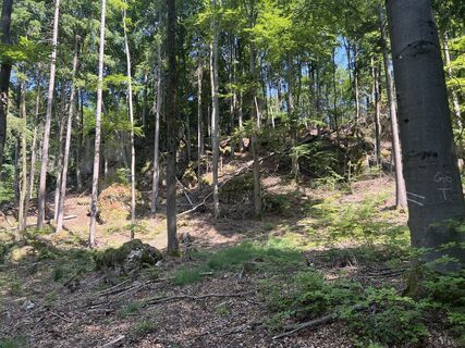 Foto från Harald Mang under resans gång