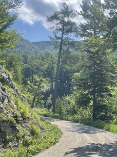 Fotografija s spletne strani Michael Trauner na poti