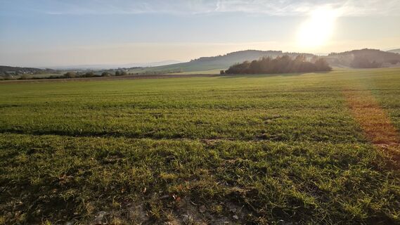Foto von prager64 entlang der Tour
