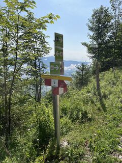 Kreuzung Sonnenbrandtour