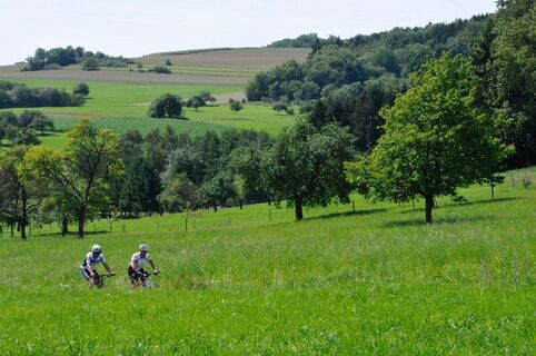 Mountainbiken durch die Landschaft des Sankt Wendeler Landes