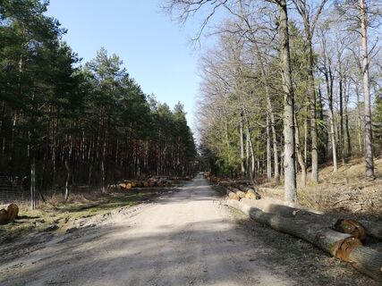 Kreuzung Forststrasse Weg zum Schwarzhof