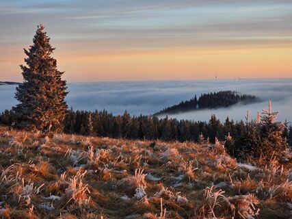 Foto von TwilightTea entlang der Tour