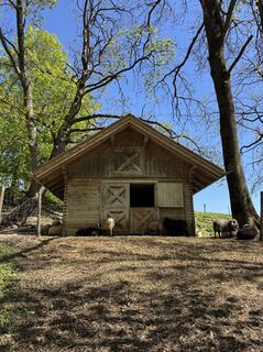 Foto von Denise Miller entlang der Tour