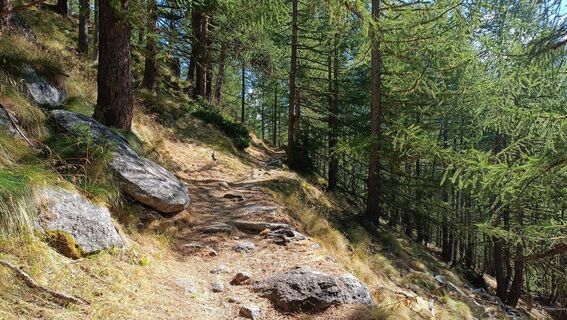 Foto de Maurizio Dell'acqua a lo largo del recorrido