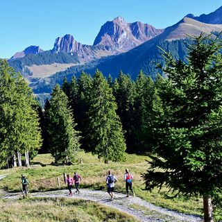 Abstieg Sollergraben - Selibühl Trailrun