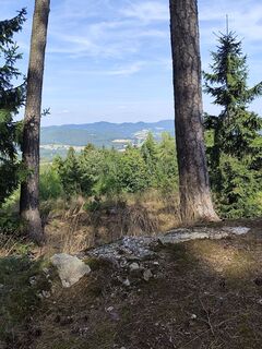 Fotografija s spletne strani Edith K. na poti