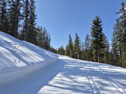 Fotografija s spletne strani Brigitta Madár na poti