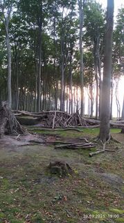 Foto de Julius Piger a lo largo del recorrido