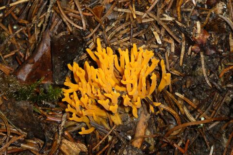 Hochschlag, Ebenschlag und Aibel