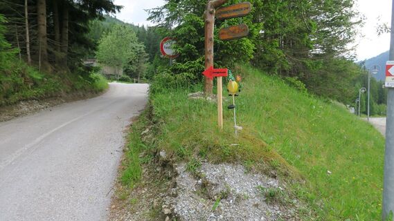 Zwergenwald_Hohentauern-Murtal-Steiermark c Marlene Zandl (5).JPG