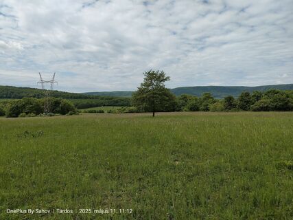 Foto von Viktor Saho entlang der Tour