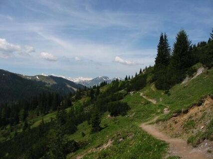 der Weg in Richtung vier Hütten