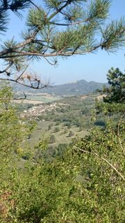 Photo de bidure70 Mitche le long du parcours