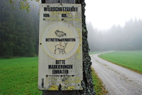 Höllgraben – Durchfall - Donnerwand - Spielkogel