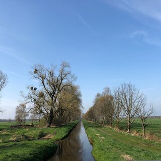 Ohre bei der Schwarzen Brücke