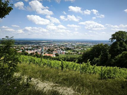 Photo de Katja B. le long du parcours