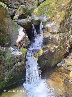 Foto fra Markus Bischof 3 undervejs på turen