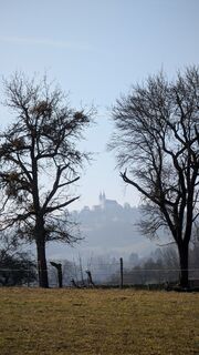 Fotografija s spletne strani Klaus Lehner na poti