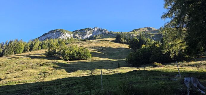 Photo de Marko Adrian le long du parcours