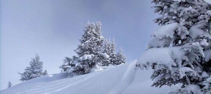 Typische Winterlandschaften während dieser Tour