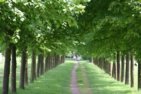 Baumpark Thedinghausen