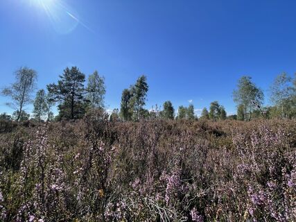 Fotografia z Sebastian Keßler na trase